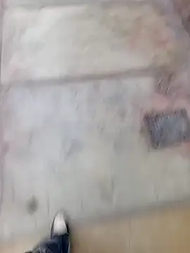 Bebicho14 online show from 11, 2, 2026