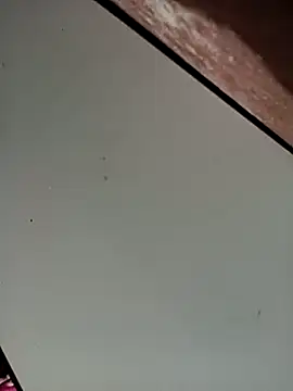 Bebicho14 online show from 16, 11, 2025