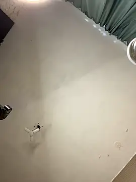 PollyVinice online show from 12, 2, 2026