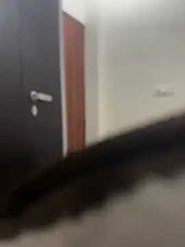 DJLOVE280825 online show from 9, 2, 2026