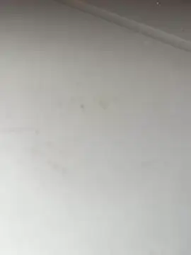 Bandidasexy22 online show from 24, 10, 2025