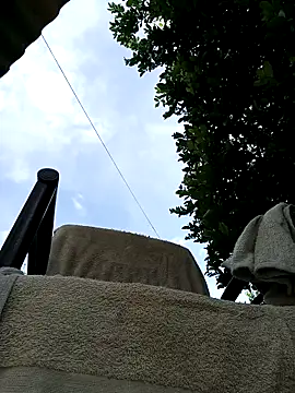 AlphaAlterX online show from 8, 3, 2026