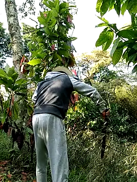 AlphaAlterX online show from 28, 2, 2026