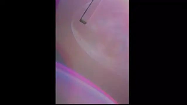 Squirtproffxh online show from 3, 5, 2026