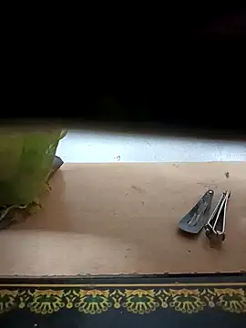 Snapshot of Sona_42i chatting on 31, 10, 2025 Sona 42i online show from 31, 10, 2025