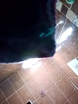 Snapshot of aispuro8505 chatting on 28, 11, 2025 aispuro8505 online show from 28, 11, 2025