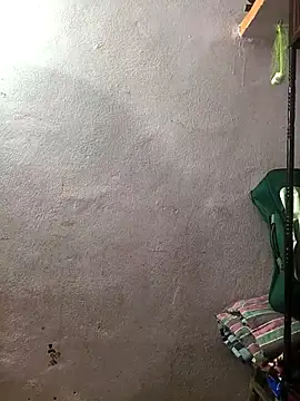 telugu pellam online show from 24, 2, 2026