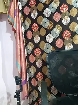 telugu pellam online show from 22, 2, 2026