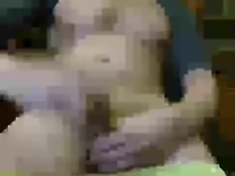 italian max sex online show from 21, 11, 2025