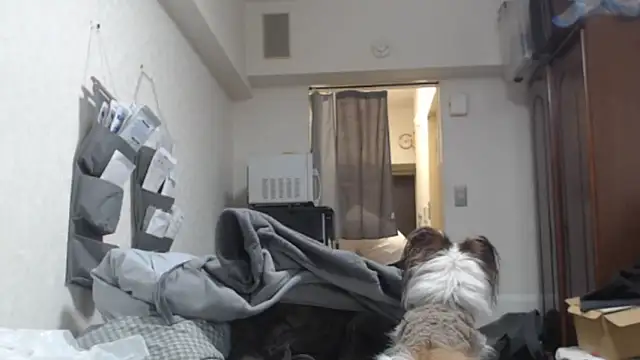 raterate555 online show from 5, 3, 2026