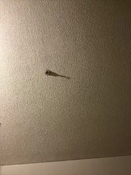 aurorasparkles online show from 24, 9, 2025