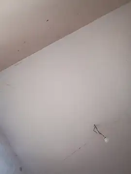 Snapshot of BeakedMezuza chatting on 29, 11, 2025 BeakedMezuza online show from 29, 11, 2025