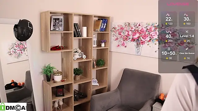 Sue Sanders online show from 11, 2, 2026