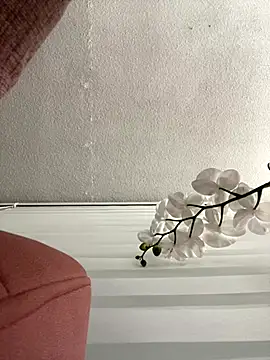 Adele Pinkk online show from 3, 11, 2025