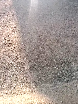 Shreyaaa 1 online show from 7, 11, 2025