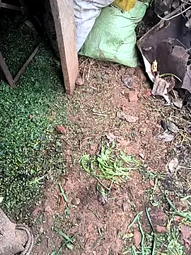 Shreyaaa 1 online show from 3, 2, 2026