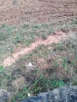 Shreyaaa 1 online show from 6, 11, 2025