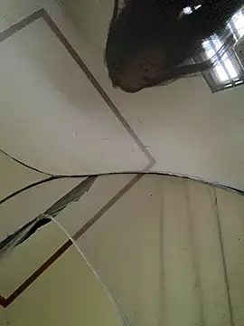 Snapshot of viluna chatting on 2, 11, 2025 viluna online show from 2, 11, 2025