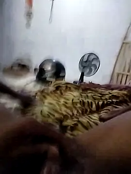 sertaonegro online show from 5, 3, 2026