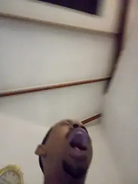 fitsexyman online show from 11, 1, 2026