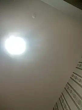 gaucha5 online show from 4, 2, 2026