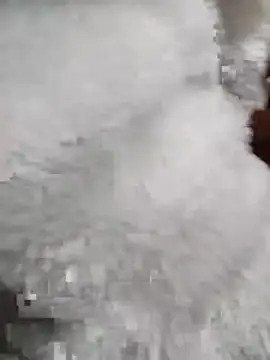 Tasu774 online show from 26, 11, 2025