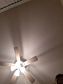 Mr nightfall online show from 16, 2, 2026