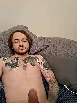 Mr nightfall online show from 13, 1, 2026