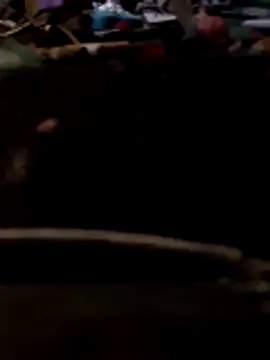 Bianomc1974 online show from 8, 11, 2025