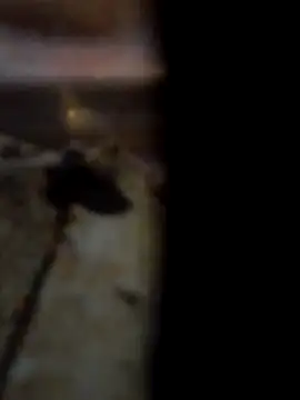 Bianomc1974 online show from 30, 11, 2025