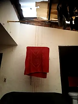 Snapshot of DebutingPathway chatting on 29, 10, 2025 DebutingPathway online show from 29, 10, 2025