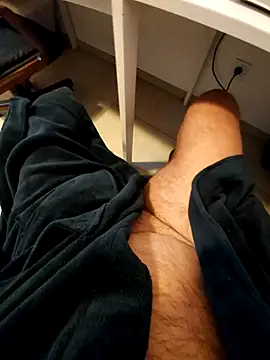 hpp66 online show from 26, 11, 2025