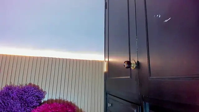 Alana 333 online show from 17, 12, 2025