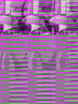 Snapshot of WWGD69 chatting on 31, 10, 2025 WWGD69 online show from 31, 10, 2025