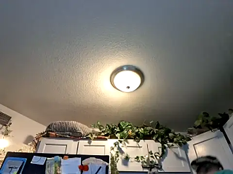 Snapshot of WWGD69 chatting on 3, 3, 2026 WWGD69 online show from 3, 3, 2026