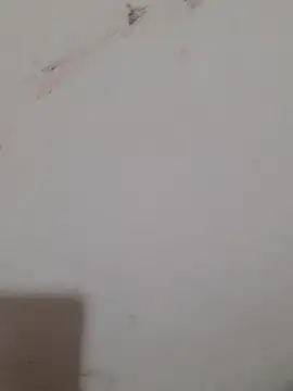 Sexy Mal89 online show from 16, 12, 2025