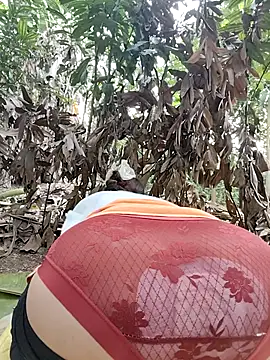 Tin tanny online show from 2, 3, 2026