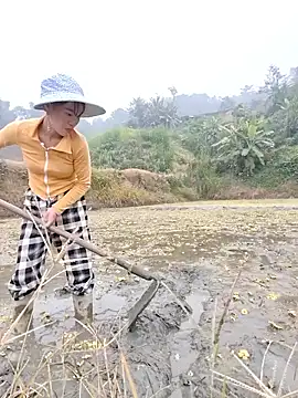 Tin tanny online show from 5, 12, 2025