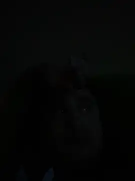 whitsblack online show from 3, 11, 2025