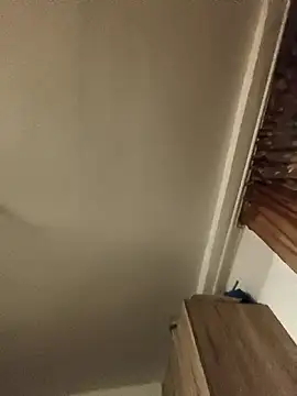 Sakura 2000 online show from 31, 1, 2026