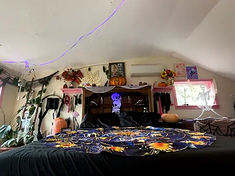 kinkycanner online show from 31, 10, 2025