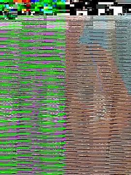 Jalebi bay online show from 27, 11, 2025