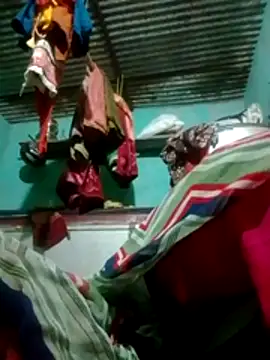 H seema online show from 16, 10, 2025