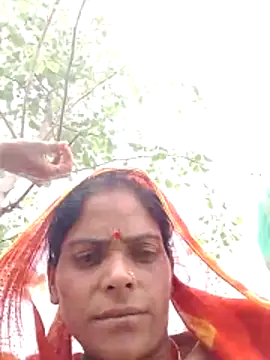 H seema online show from 7, 4, 2026