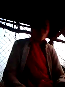 H seema online show from 1, 12, 2025