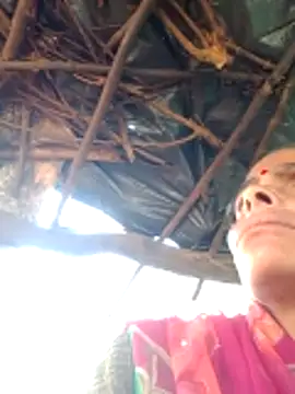 H seema online show from 12, 4, 2026