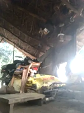 LUCKY cut online show from 18, 11, 2025