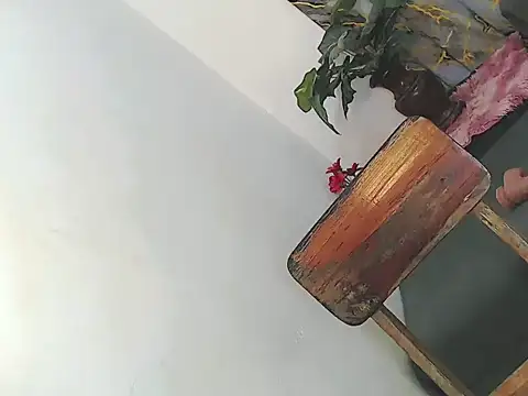 Misskatexx online show from 6, 1, 2026