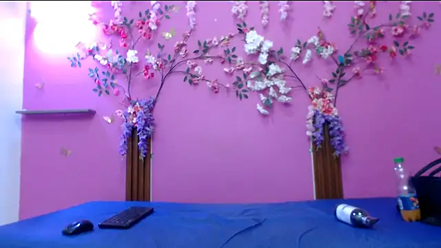 skinnysofia18 online show from 9, 3, 2026