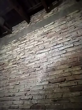 Snapshot of Efrain6996 chatting on 24, 9, 2025 Efrain6996 online show from 24, 9, 2025